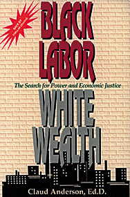 Black Labor, White Wealth : The Search for Power and Economic Justice