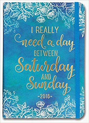 I Really Need a Day Between Saturday and Sunday Weekly Planner