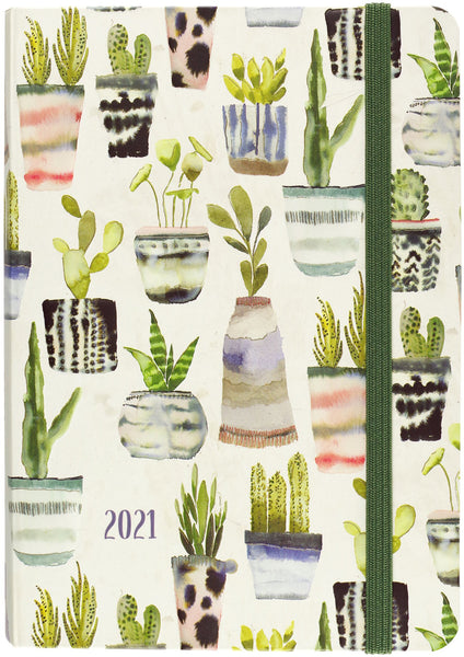 2020 Midnight Watercolor Succulents Weekly Planner (16-Month Engagement Calendar) Hardcover