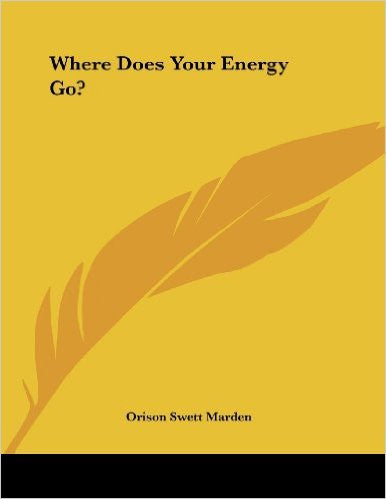 Where Does Your Energy Go?