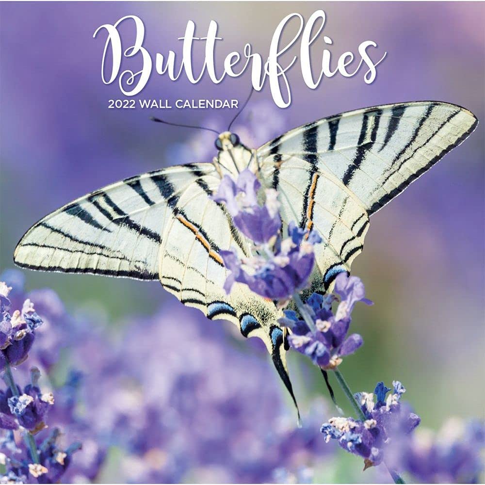 Turner Licensing, Butterflies 2022 Wall Calendar SV