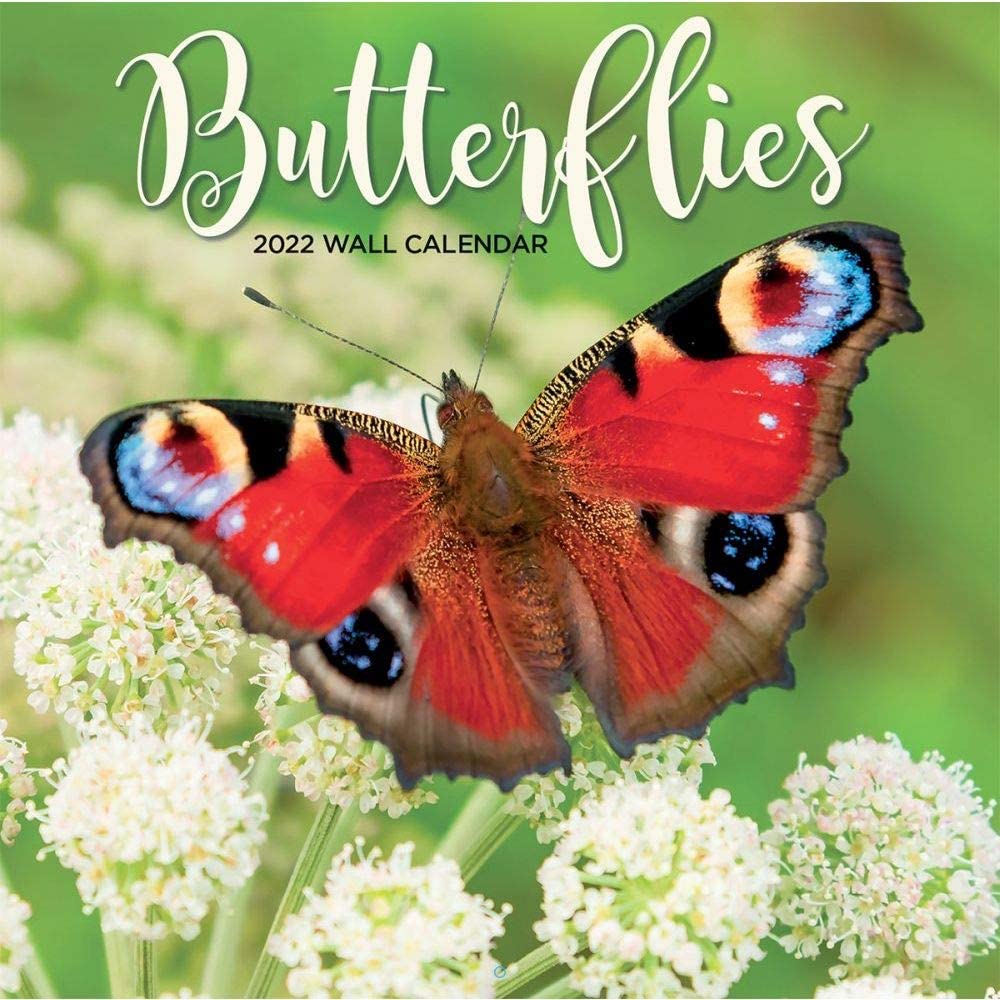 Turner Licensing, Butterflies 2022 Wall Calendar