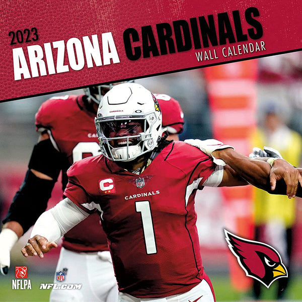 Turner Licensing NFL Arizona Cardinals Monthly Wall Calendar, 12” x 24”, Made with exceptional quality, 12x12 calendar! (September 2021 through December 2022)