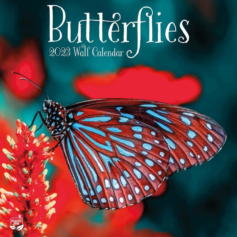 Butterflies 2023 Wall Calendar