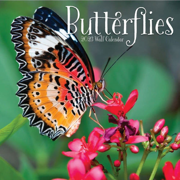 Butterflies 2023 Wall Calendar