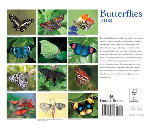 Butterflies 2018