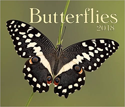 Butterflies 2018