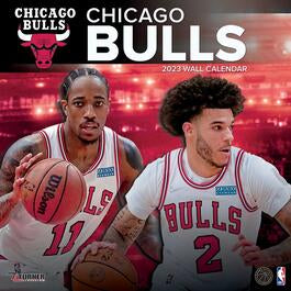 Turner Licensing NBA Chicago Bulls Monthly Wall Calendar, 12” x 24”, Made with exceptional quality, the 12x12  (September 2021 through December 2023)