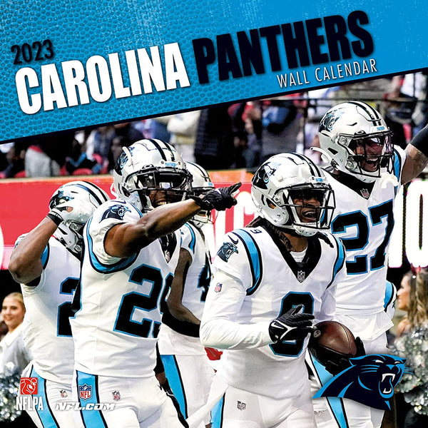 Turner Licensing Carolina Panthers NFL Monthly Wall Calendar, 12” x 24”, Made with exceptional quality, the 12x12  (September 2021 through December 2022)