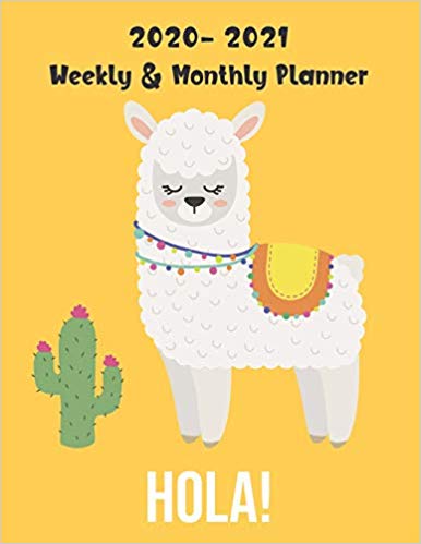 Desert Alpacas - Hola 2020 - 2021 Weekly & Monthly Planner: Two Year Planner 2020 - 2021