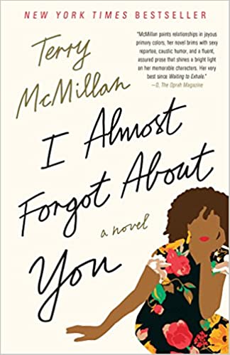 I Almost Forgot About You: A Novel